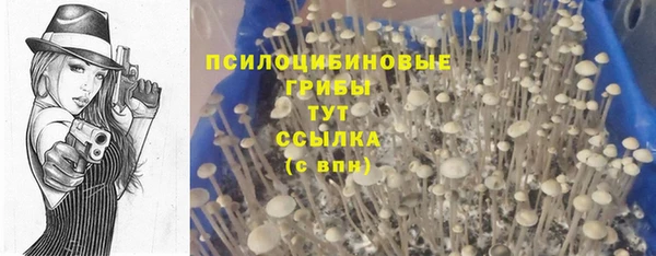 spice Армянск