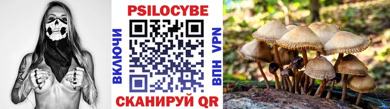 цены Полысаево Галлюциногенные грибы Magic Shrooms